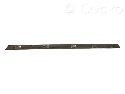 Rear door decorative trim (moulding)