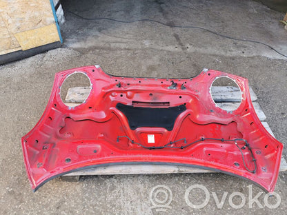 Dzinēja pārsegs (vāks)