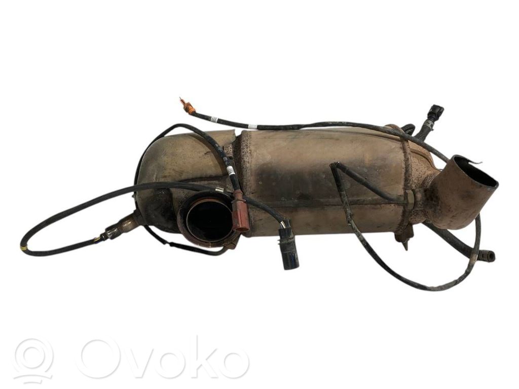 Catalyst, FAP/DPF particulate filter