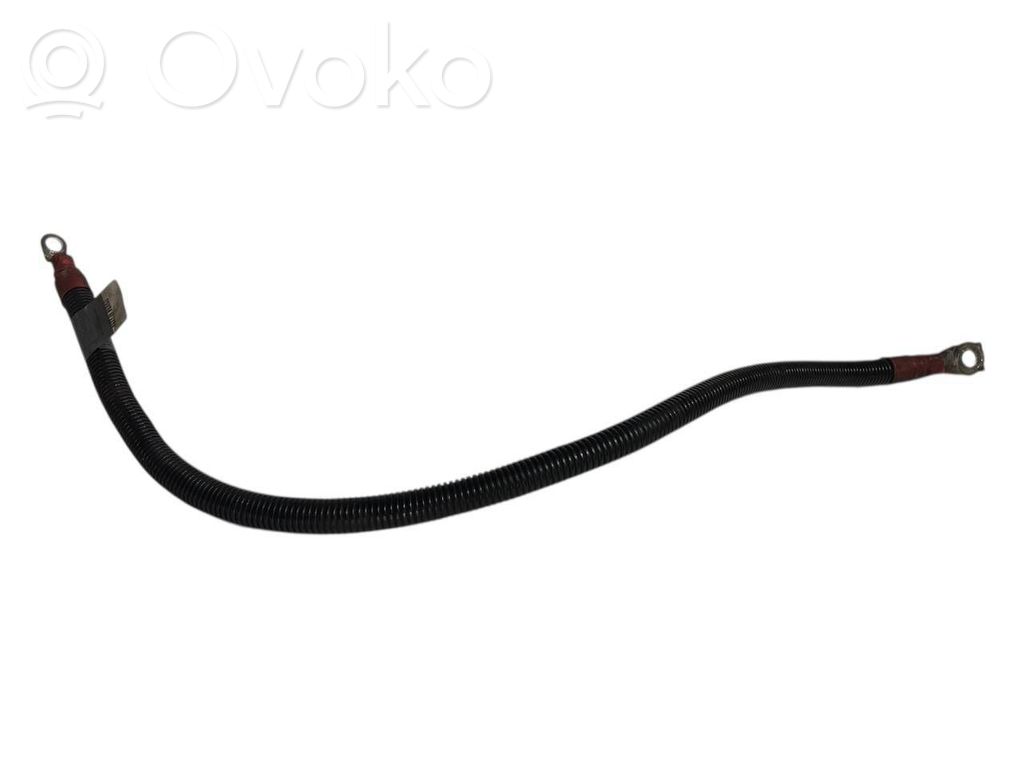 Plusa vads (akumulatora)
