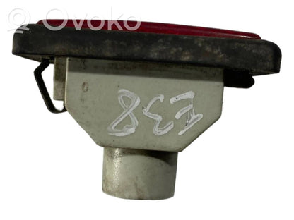 Rear door lighting (inside)