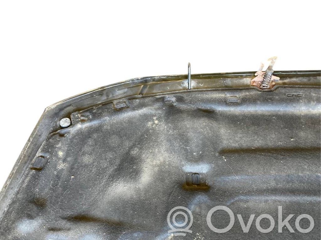 Dzinēja pārsegs (vāks)