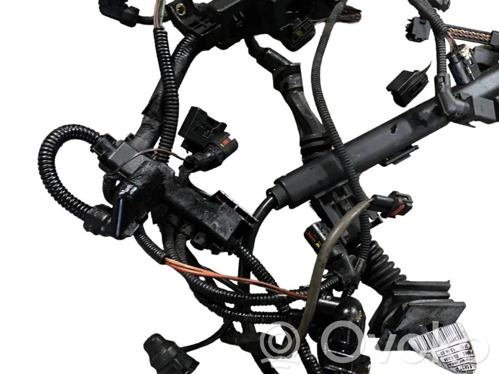 Engine wiring harness