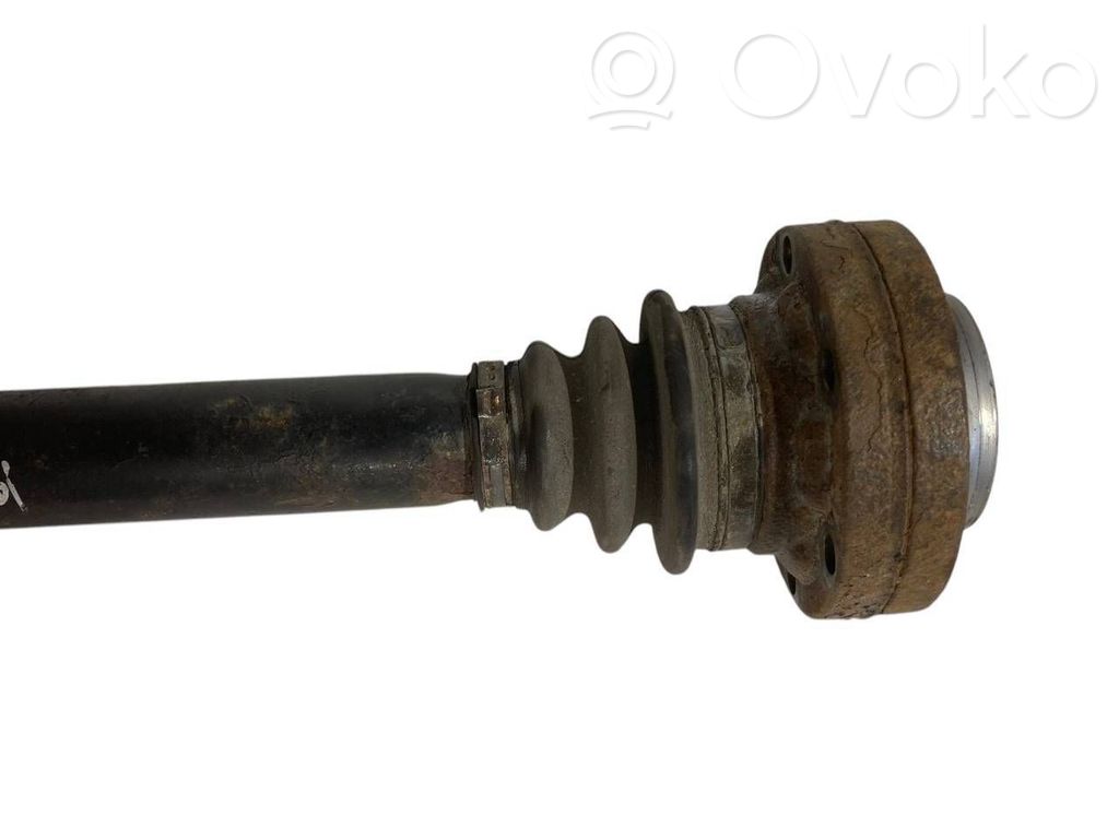 Aizmugurējā pusass