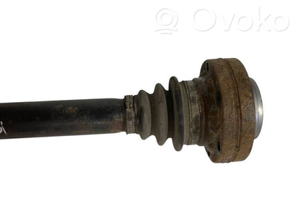 Aizmugurējā pusass