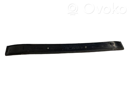 Front sill trim (inner)