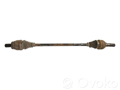 Aizmugurējā pusass