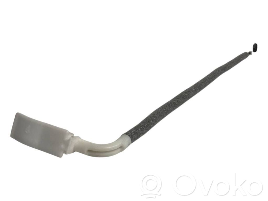 Trosīte