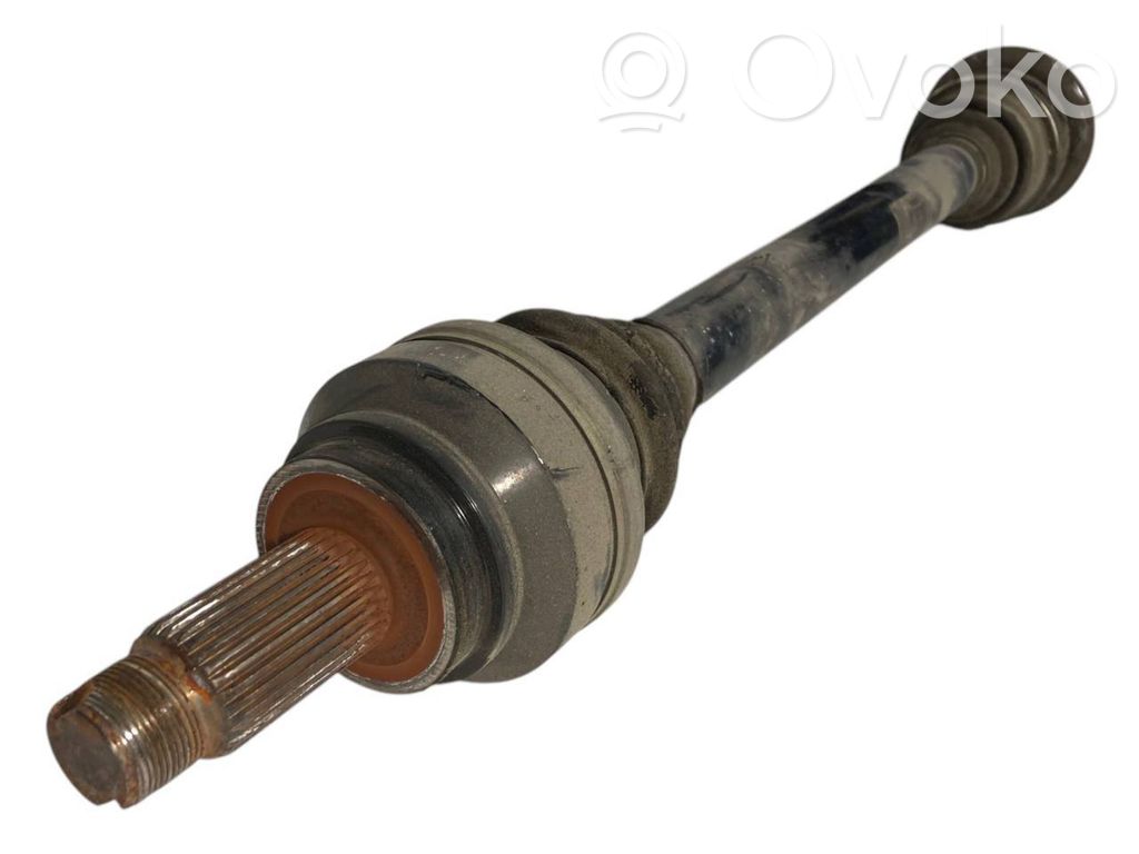 Aizmugurējā pusass