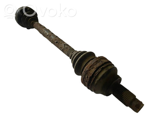 Aizmugurējā pusass