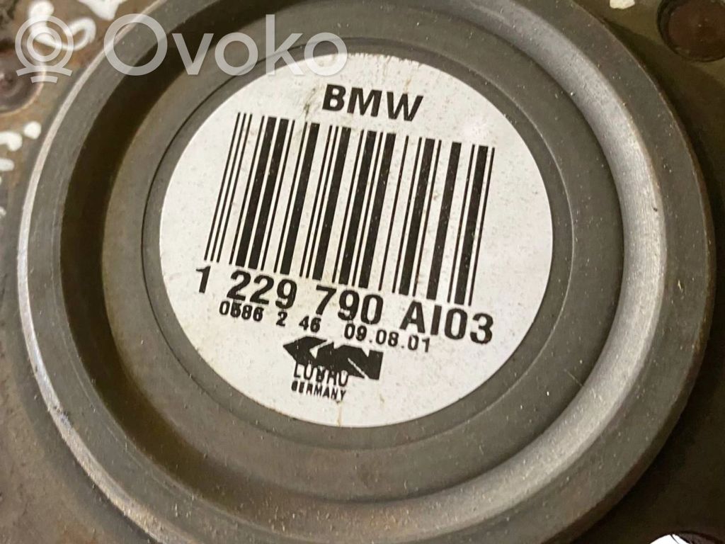 Aizmugurējā pusass