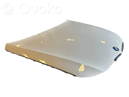 Dzinēja pārsegs (vāks)