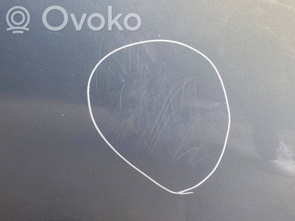 Aizmugurējās durvis