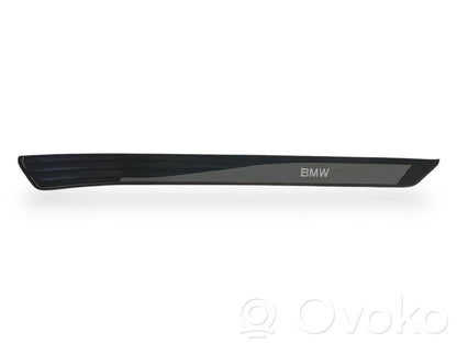 Front sill trim (inner)