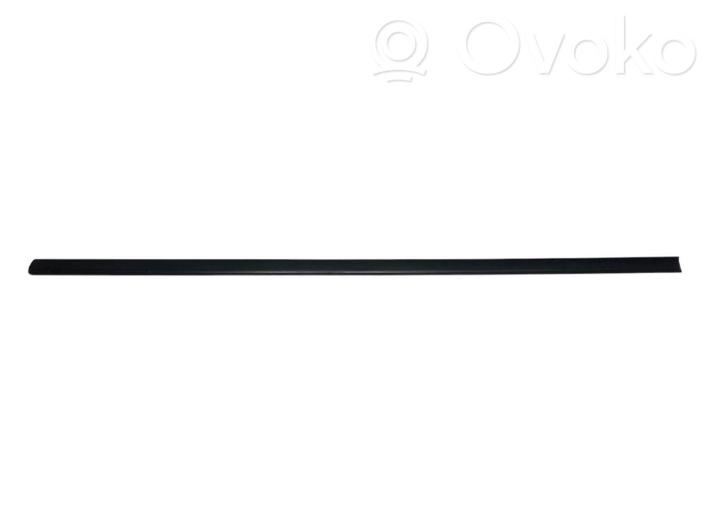 Front door decorative trim (molding)