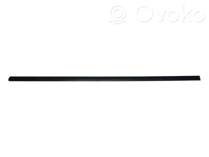 Front door decorative trim (molding)