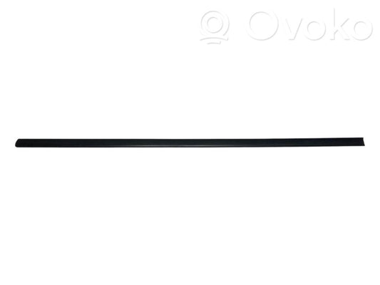 Front door decorative trim (molding)
