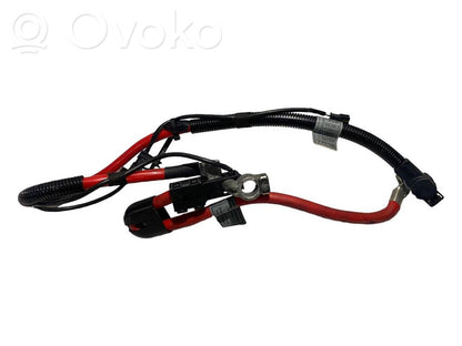 Plusa vads (akumulatora)