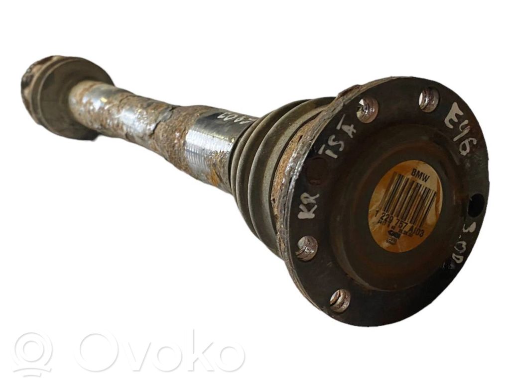 Aizmugurējā pusass