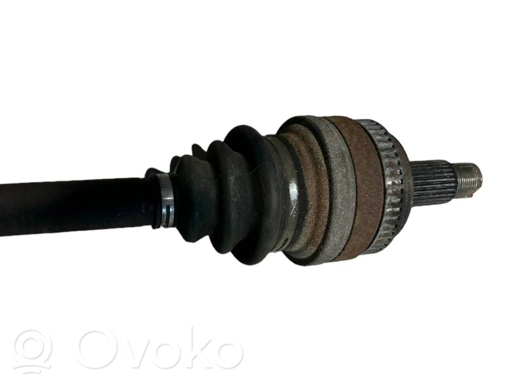 Aizmugurējā pusass