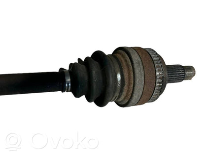 Aizmugurējā pusass