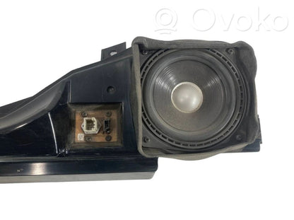 Speaker(s) in the rear door