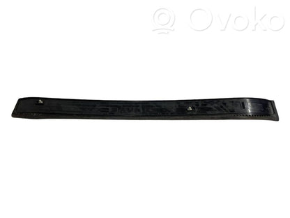 Front sill trim (inner)