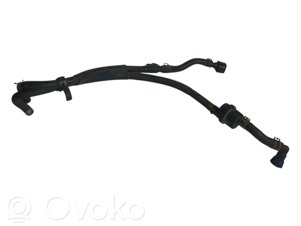 Caurule (-es) / šļūtene (-es)