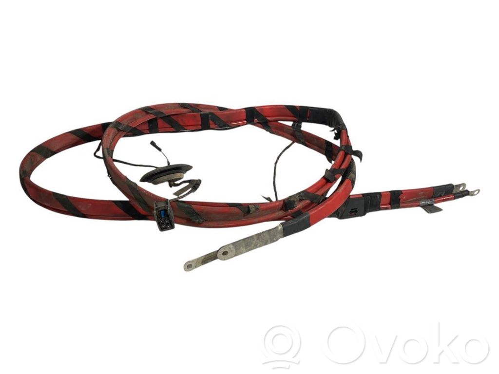 Plusa vads (akumulatora)