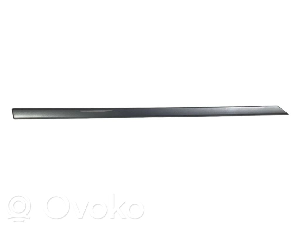 Aizmugurē durvju dekoratīvā apdare (moldings)