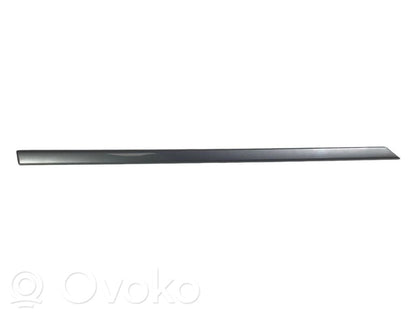 Aizmugurē durvju dekoratīvā apdare (moldings)