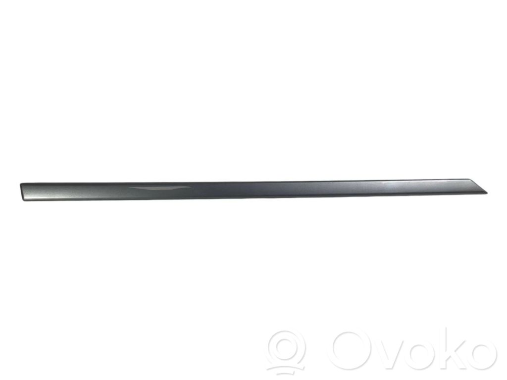 Aizmugurē durvju dekoratīvā apdare (moldings)