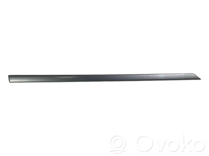 Aizmugurē durvju dekoratīvā apdare (moldings)