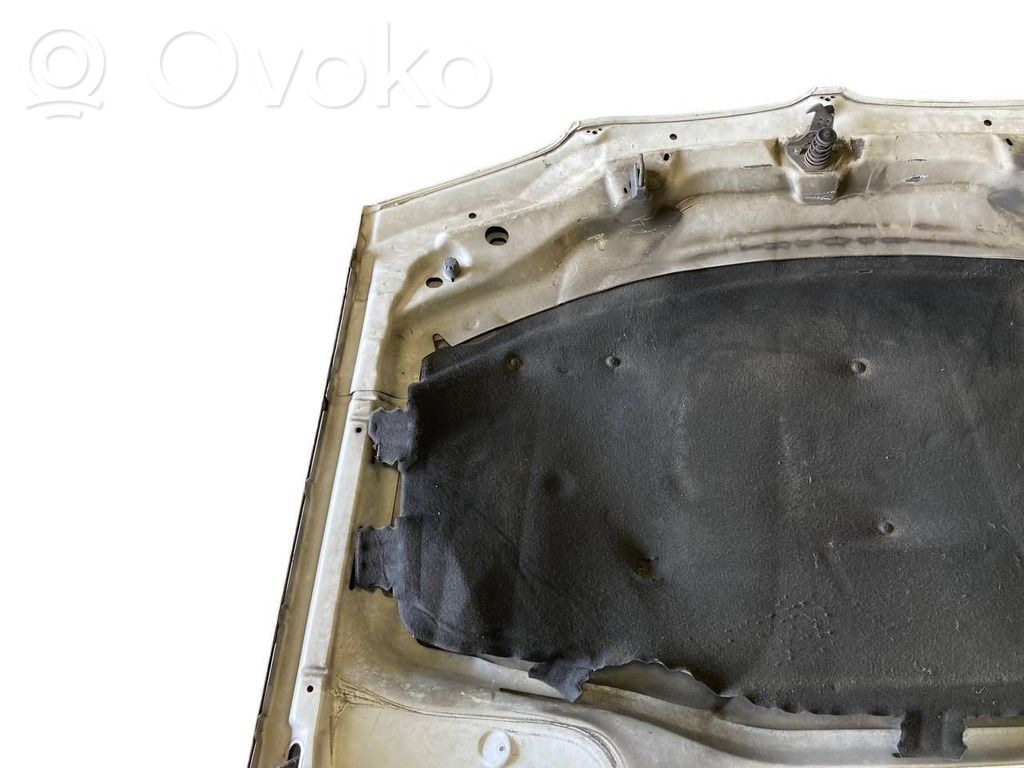 Dzinēja pārsegs (vāks)