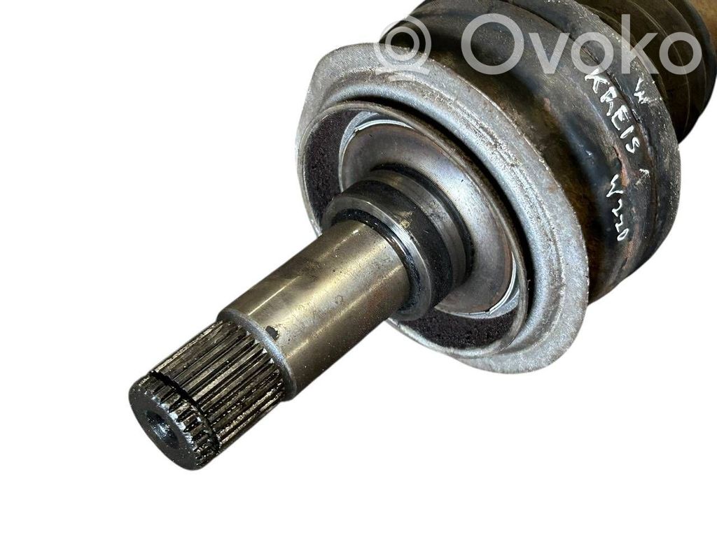 Aizmugurējā pusass