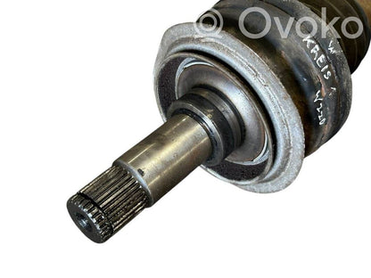 Aizmugurējā pusass