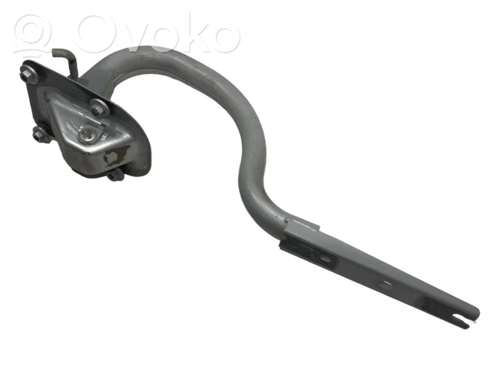 Aizmugurējā pārsega eņģe (-ess)