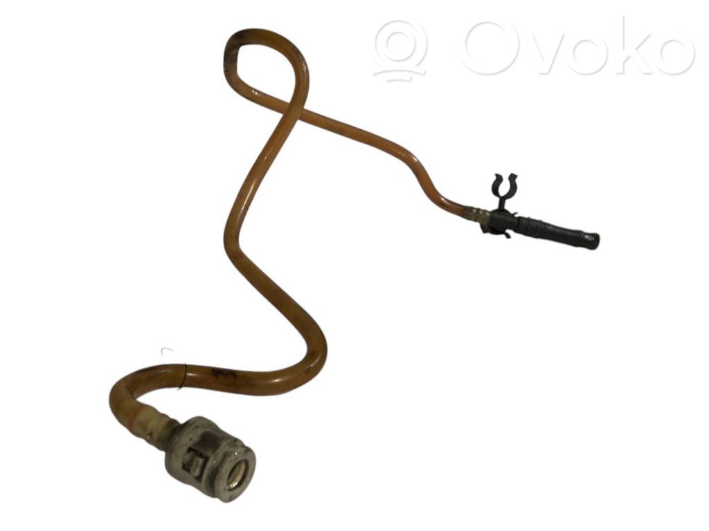 Caurule (-es) / šļūtene (-es)