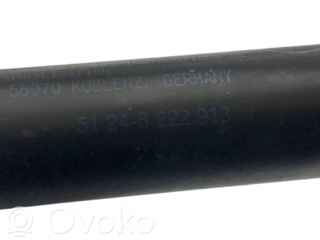 Aizmugurējā pārsega eņģe (-ess)