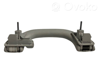 Aizmugurējais rokturis