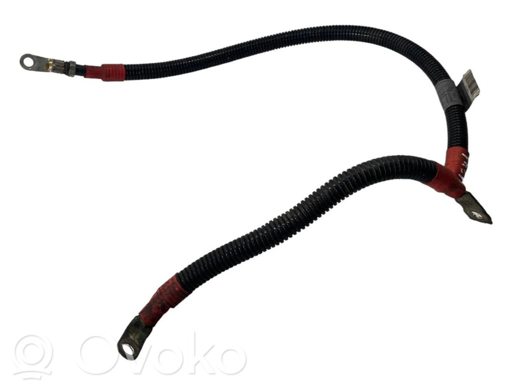 Plusa vads (akumulatora)