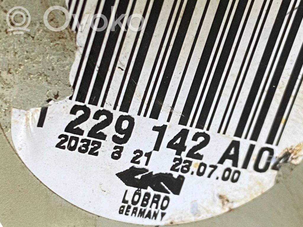 Aizmugurējā pusass