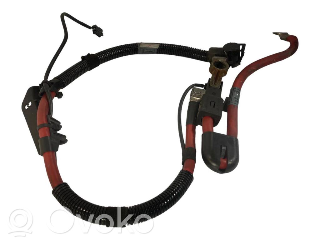 Plusa vads (akumulatora)