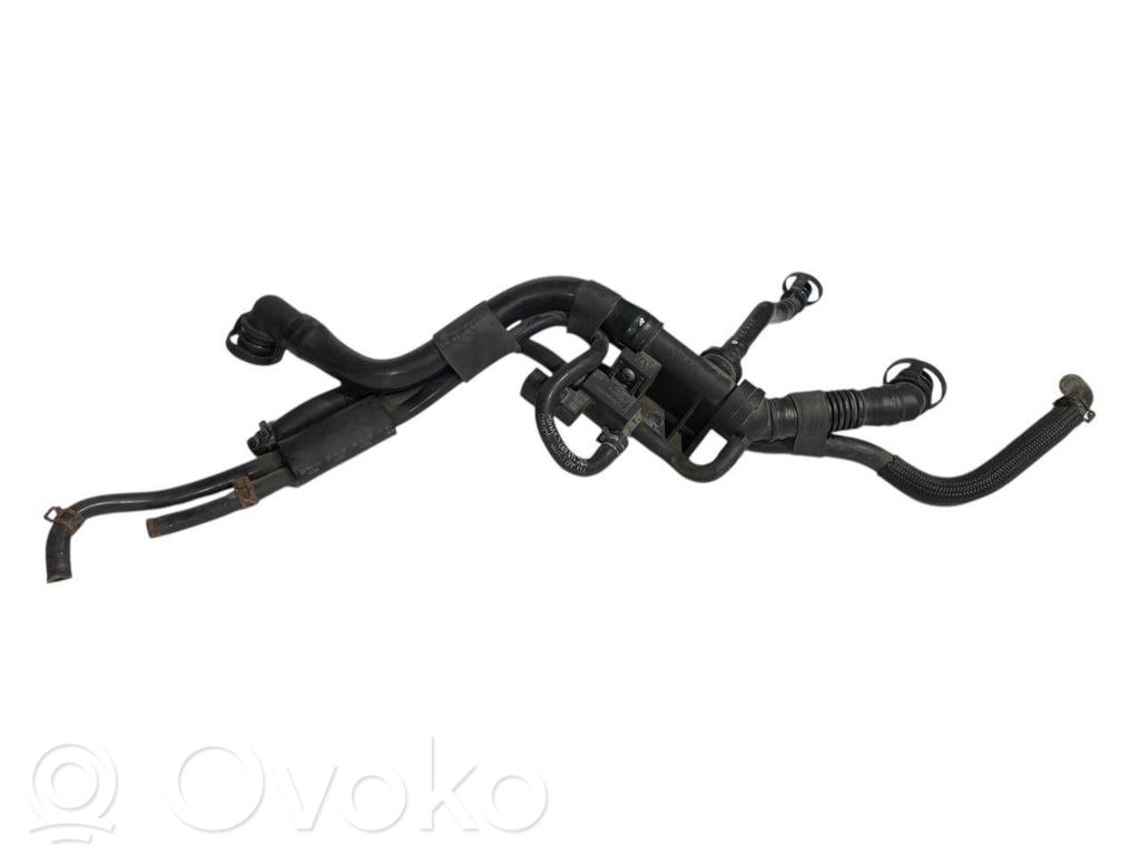 Caurulīte (-es) / šļūtene (-es)