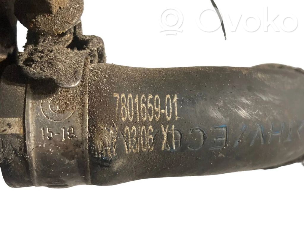 Caurule (-es) / šļūtene (-es)