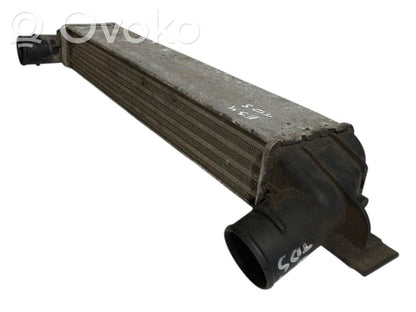 Starpdzesētāja radiators