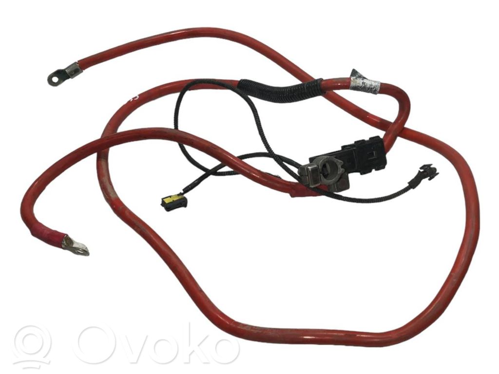 Plusa vads (akumulatora)