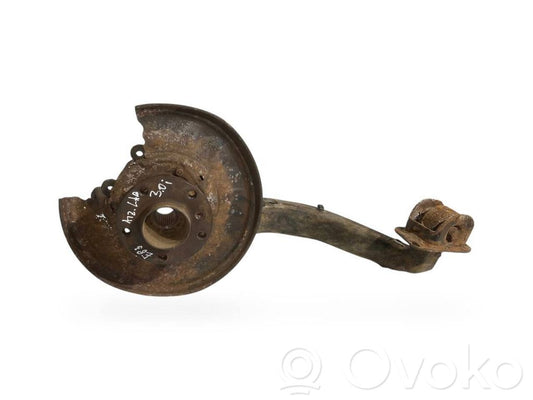 Rear wheel hub shaft joint (stupica, capfa)