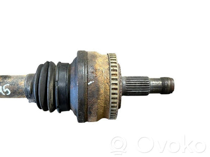 Aizmugurējā pusass