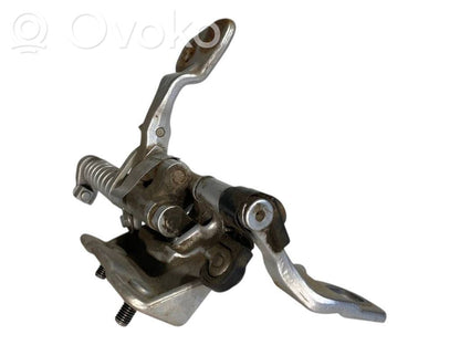 Aizmugurējā pārsega eņģe (-ess)